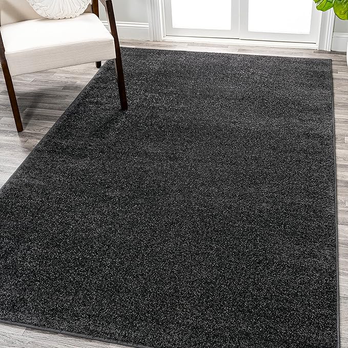 Eyely UES100I-4 Supersoft Haze Solid Low-Pile Indoor Area Rug Casual;Contemporary;Solid;Traditional, Bedroom, Kitchen, Living Room, Easy-Cleaning, Non-Shedding, 4 X 6, Black