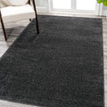 Eyely UES100I-5 Supersoft Haze Solid Low-Pile Indoor Area Rug Casual;Contemporary;Solid;Traditional, Bedroom, Kitchen, Living Room, Easy-Cleaning, Non-Shedding, 5 X 8, Black