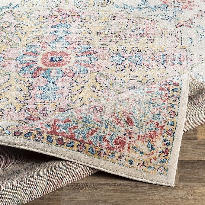Livabliss Area Rugs - 7x9 Odelia Vintage Boho Red Off-White Blue Area Rug for Living Room Bedroom - Floral Medallion Stain Resistant Carpet for Kitchen, Nursery, Office (6'7" x 9')