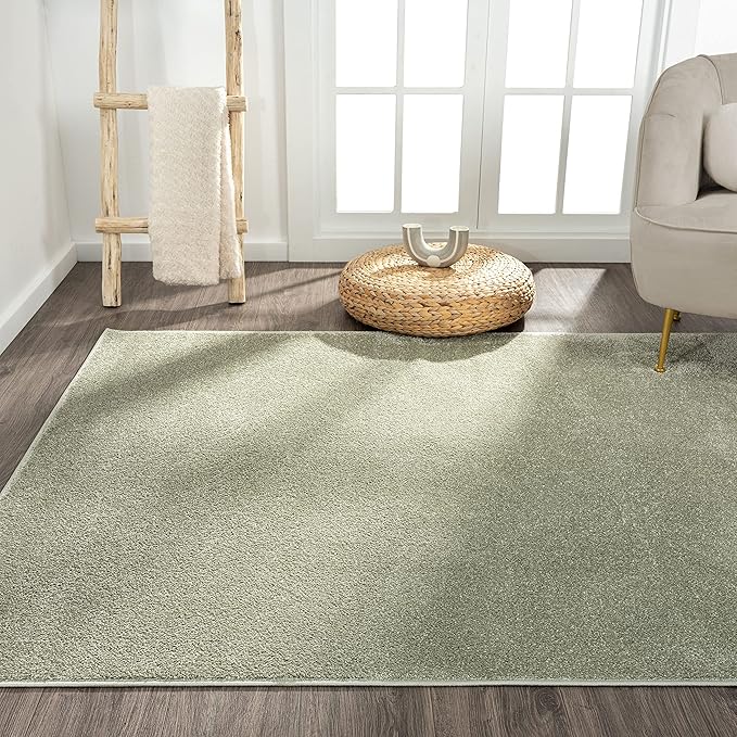 Eyely UES100O-5 Supersoft Haze Solid Low-Pile Indoor Area Rug Casual;Contemporary;Solid;Traditional, Bedroom, Kitchen, Living Room, Easy-Cleaning, Non-Shedding, 5 X 8, Green