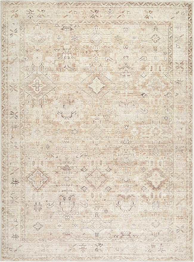 Hauteloom Nakia Living Room, Bedroom Area Rug - Traditional - Beige, Taupe, Ivory - 7'9" x 10'