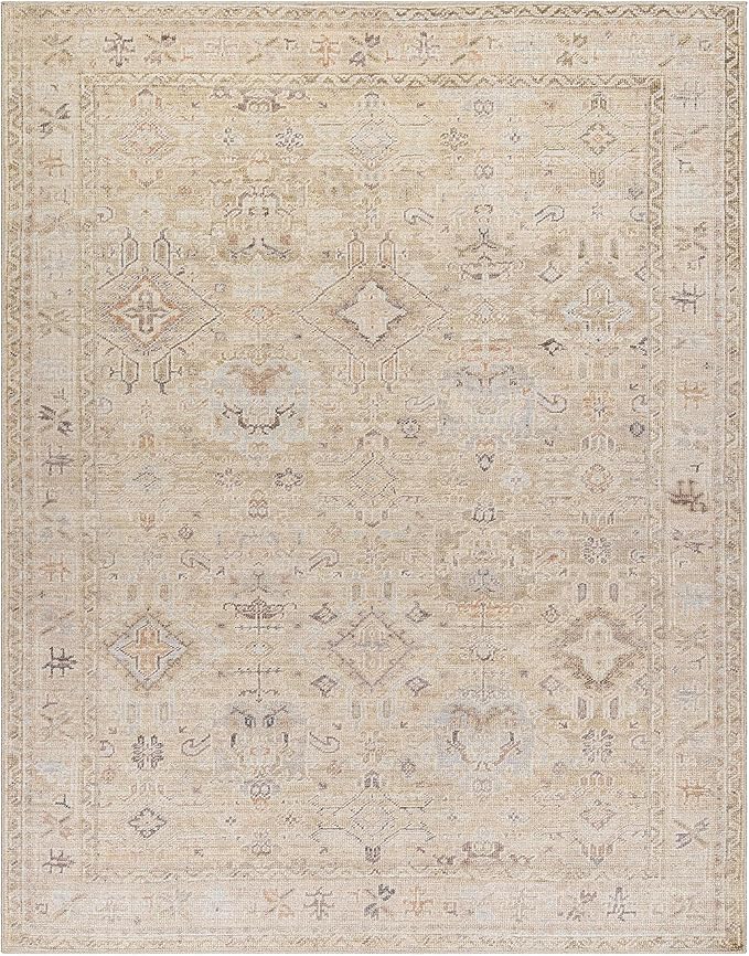 Hauteloom Nakia Bohemian Vintage Medallion Area Rug - Damask Floral Fade Look Carpet for Living Room, Bedroom - Farmhouse - Ivory, Cream, Medium Brown - 9'11" x 14'