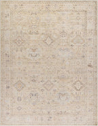 Hauteloom Nakia Bohemian Vintage Medallion Area Rug - Damask Floral Fade Look Carpet for Living Room, Bedroom - Farmhouse - Ivory, Cream, Medium Brown - 9'11" x 14'