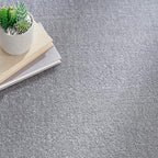 Nourison Home Nourison Essentials Silver Grey 12' x 15' Area Rug - Easy Clean, Non Shedding, Bed Room, Living Room, Dining Room, Kitchen (12' x 15')